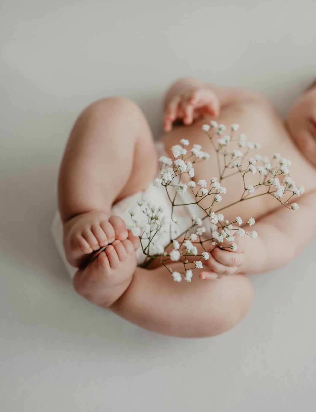 Contact alaptarelina